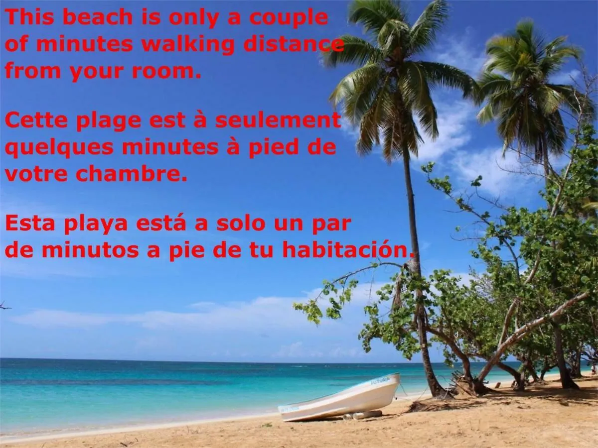 Bed and Breakfast Casa Picaflor Las Terrenas República Dominicana