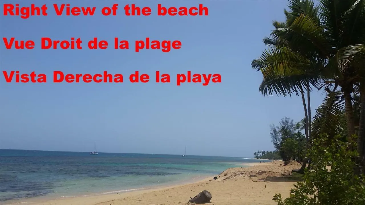 Bed and Breakfast Casa Picaflor Las Terrenas